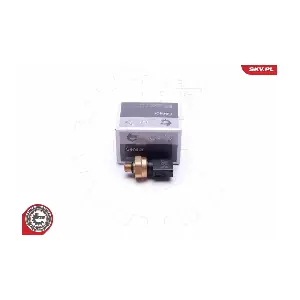 17SKV622 ESEN SKV