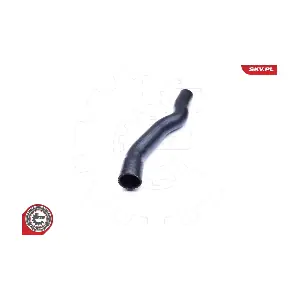 24SKV897 ESEN SKV