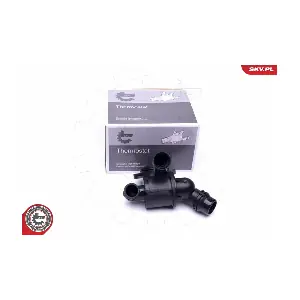20SKV102 ESEN SKV