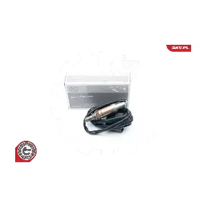 ESEN SKV 09SKV613