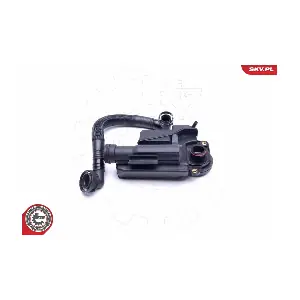 31SKV163 ESEN SKV