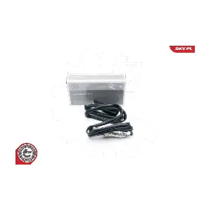 09SKV631 ESEN SKV
