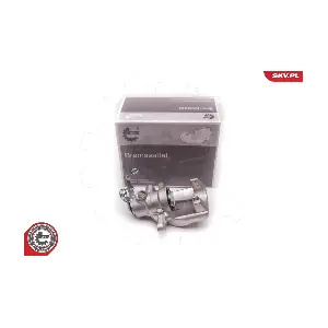 23SKV107 ESEN SKV