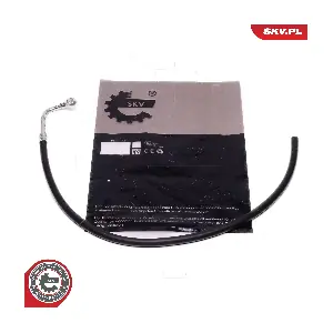 10SKV815 ESEN SKV