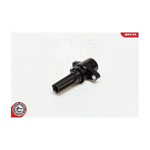 ESEN SKV 03SKV181