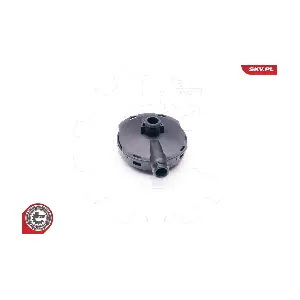 31SKV021 ESEN SKV