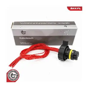 53SKV029 ESEN SKV
