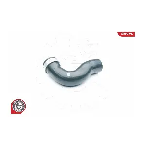 24SKV038 ESEN SKV