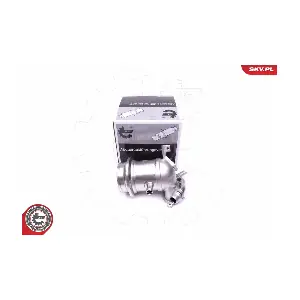 14SKV219 ESEN SKV