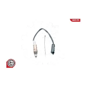 09SKV678 ESEN SKV