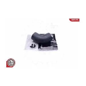 43SKV198 ESEN SKV
