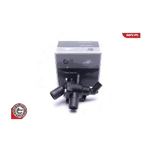 20SKV189 ESEN SKV