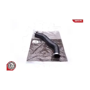 43SKV042 ESEN SKV