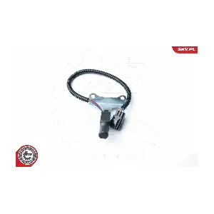17SKV318 ESEN SKV