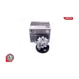 10SKV287 ESEN SKV