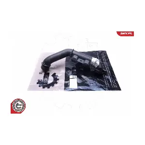 43SKV317 ESEN SKV