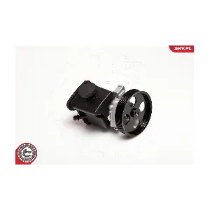 10SKV029 ESEN SKV