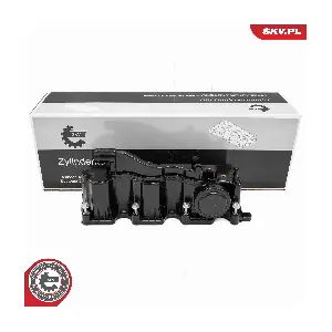 48SKV119 ESEN SKV