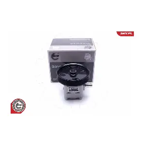 10SKV293 ESEN SKV