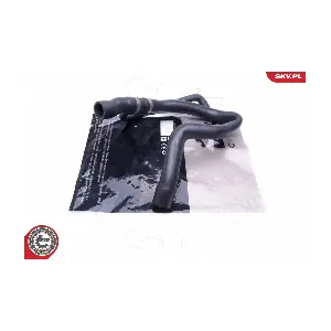 43SKV855 ESEN SKV