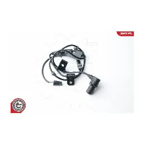 06SKV251 ESEN SKV
