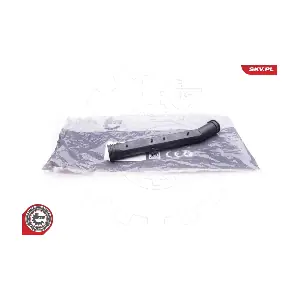 24SKV309 ESEN SKV