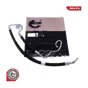 10SKV844 ESEN SKV