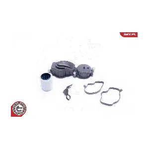 31SKV034 ESEN SKV