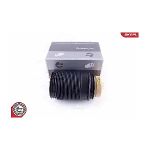 58SKV011 ESEN SKV