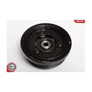 95SKV309 ESEN SKV
