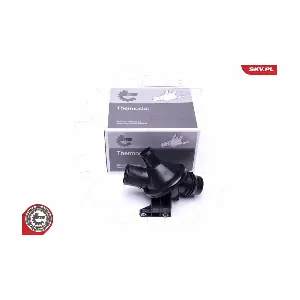 20SKV099 ESEN SKV
