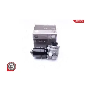 10SKV274 ESEN SKV