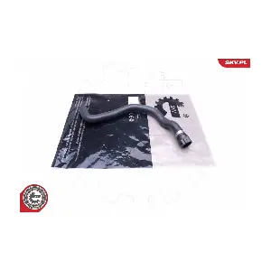 43SKV856 ESEN SKV