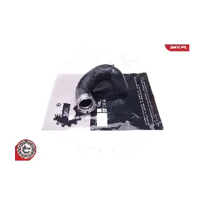 43SKV297 ESEN SKV