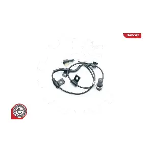 06SKV310 ESEN SKV