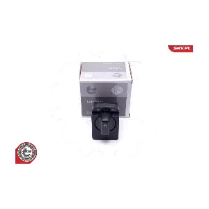 36SKV038 ESEN SKV