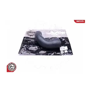 43SKV181 ESEN SKV