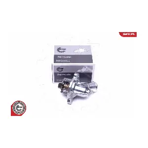 20SKV083 ESEN SKV