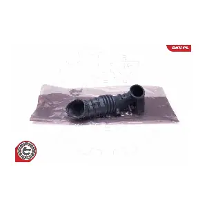 24SKV501 ESEN SKV