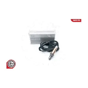 09SKV658 ESEN SKV