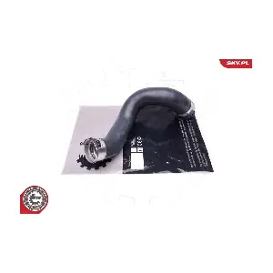 43SKV323 ESEN SKV