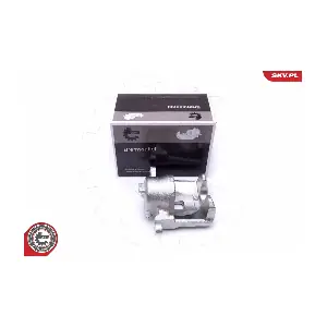 46SKV881 ESEN SKV
