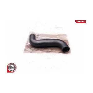24SKV184 ESEN SKV