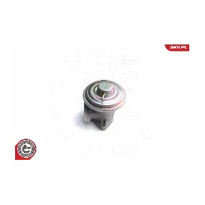 14SKV098 ESEN SKV