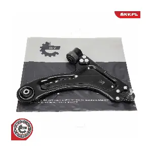 69SKV250 ESEN SKV