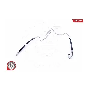 10SKV807 ESEN SKV