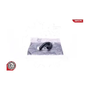 24SKV366 ESEN SKV