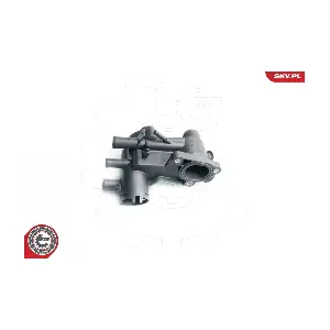 20SKV019 ESEN SKV