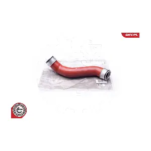 24SKV697 ESEN SKV