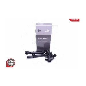 20SKV122 ESEN SKV